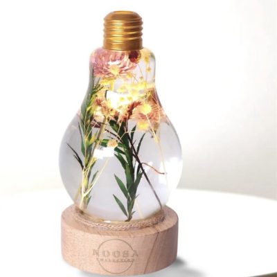 noosa collection