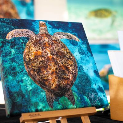 Pure Underwater Imaging